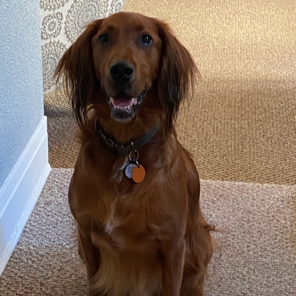 Meet your Posher, Allison - Picture 8 of 8